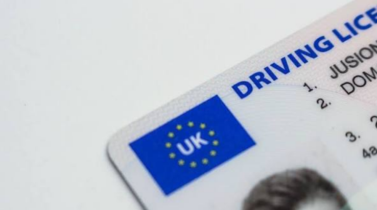 international license application